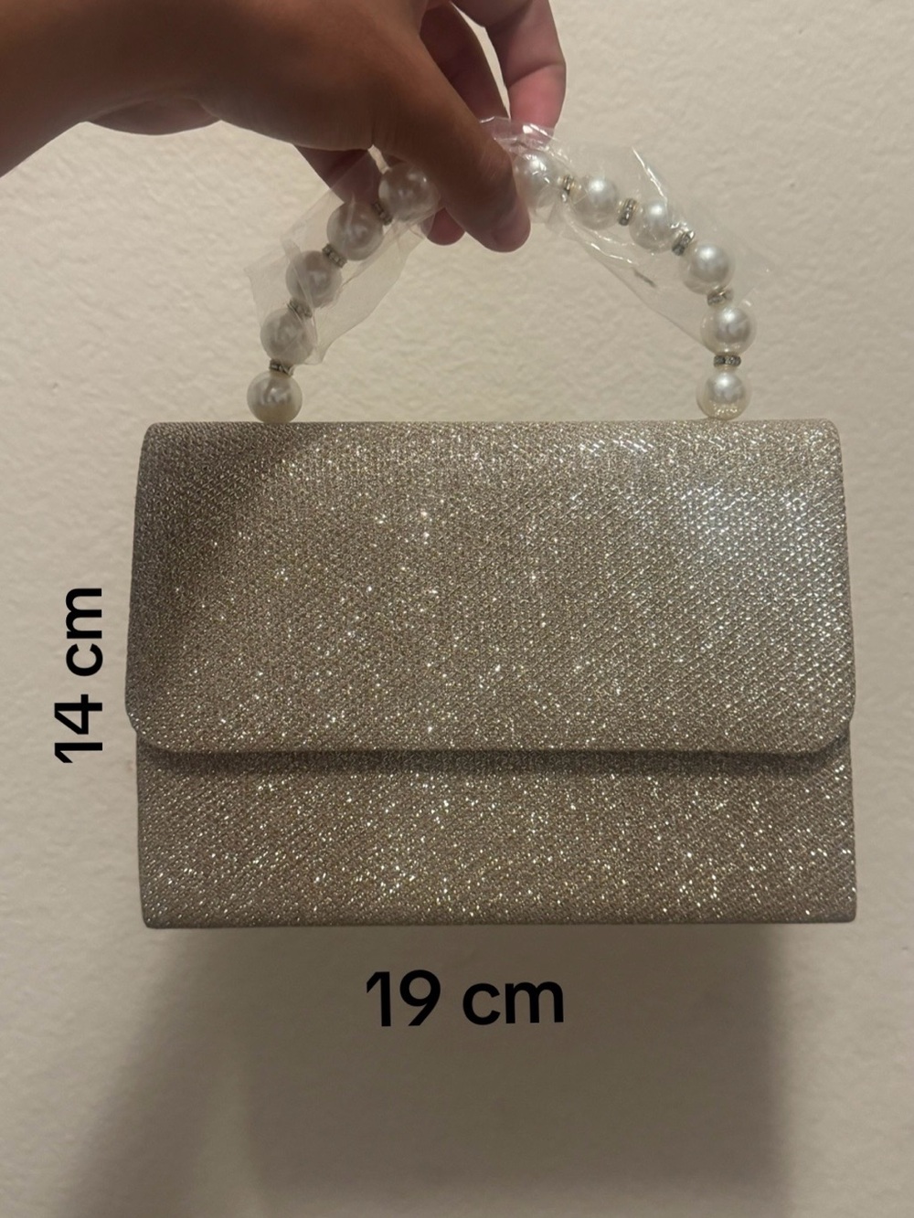 Sparkle Pearl Handle Evening Clutch in Champagne
